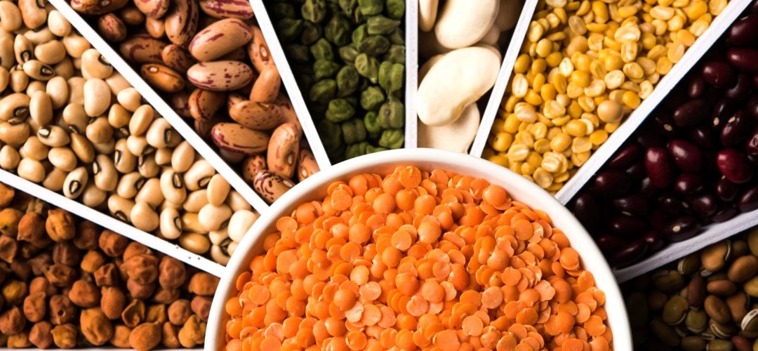 indian-beans-pulses-lentils-rice-wheat-grain-white-sunburst-sun-rays-shape-designer-container-selective-focus-min